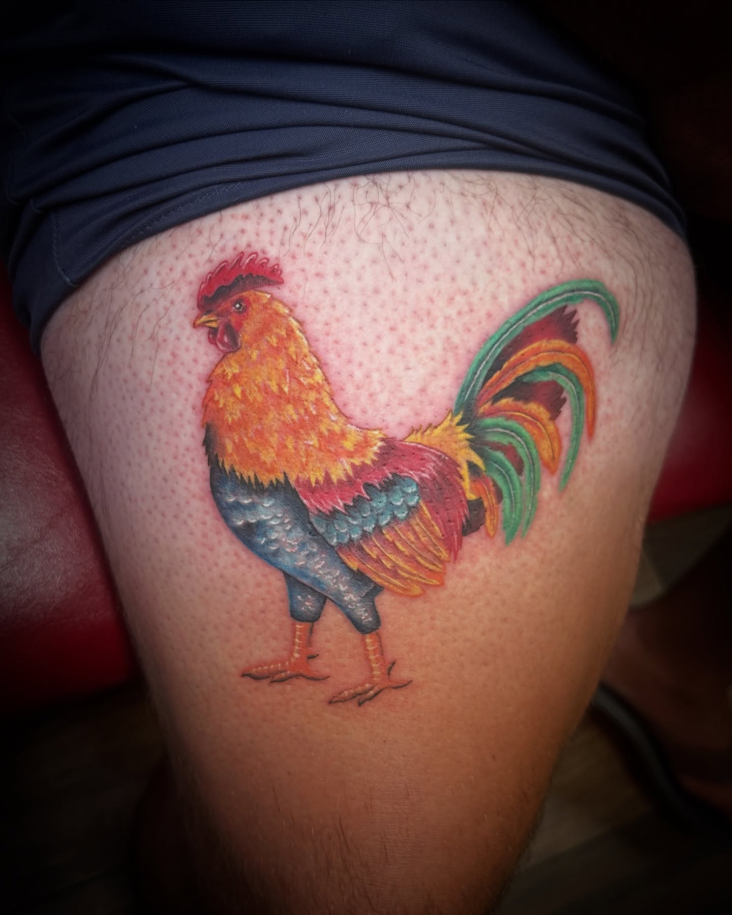 Rooster realism tattoo on the thigh by Bosco Layne