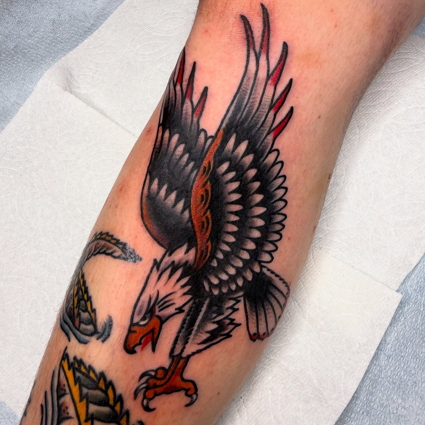 Eagle American traditional tattoo on the forearm by Clayton - TRADITIONAL TATTOOS