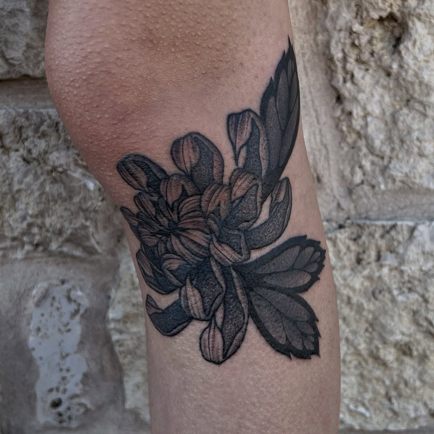 Flower black and grey tattoo on the forearm by ๐๐๐ฅ๐ฅ๐ข๐ ๐๐๐ก๐ข๐ฅ๐ฅ๐ข๐ง๐