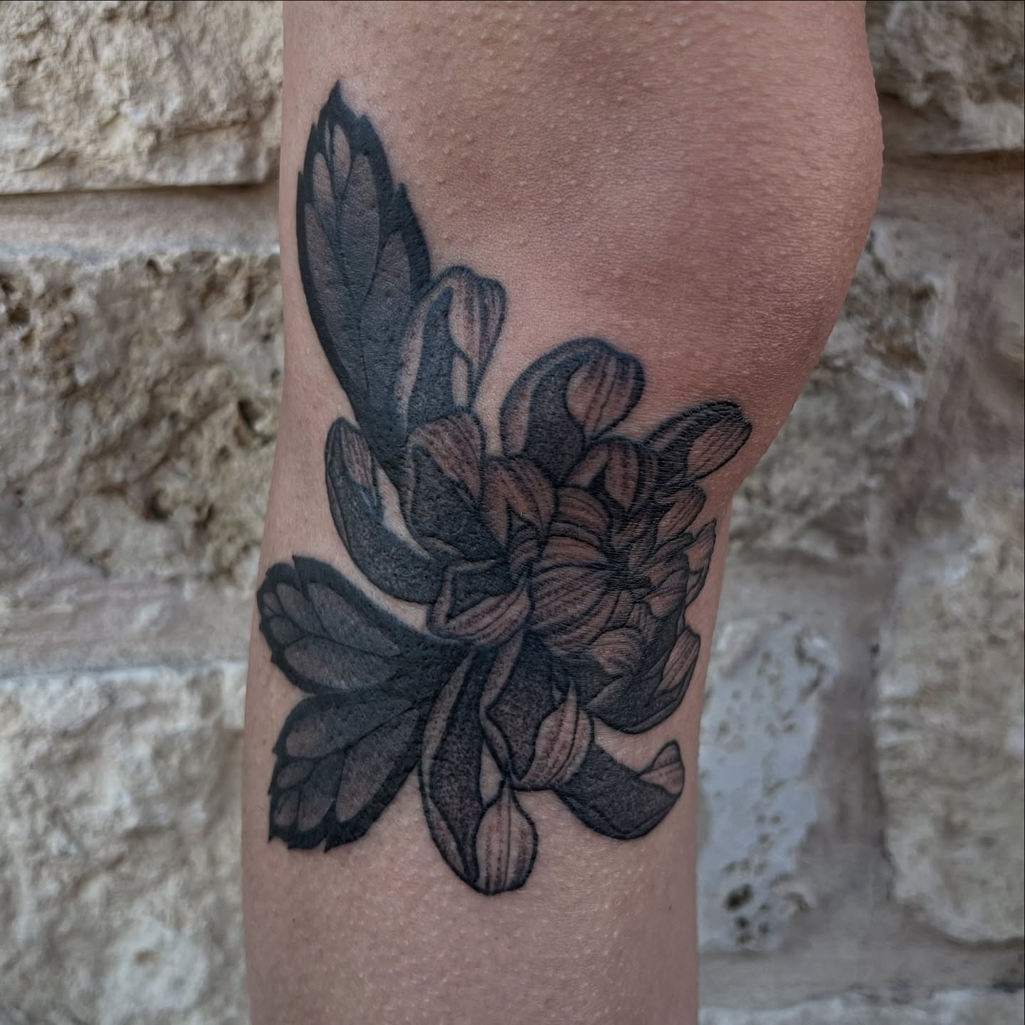 Tattoo by @ofcourseithurts — black_and_grey