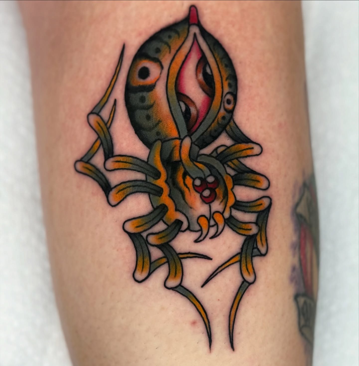 Spider American traditional tattoo on the forearm by Domanick Libretti, Nashville, Tennessee