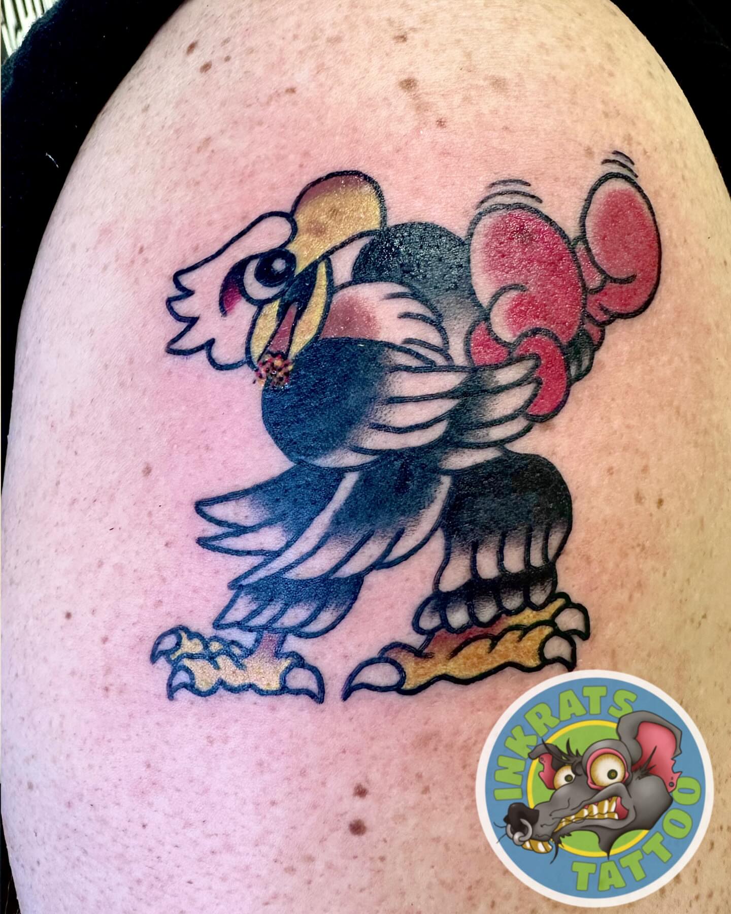 Toucan American traditional tattoo on the shoulder by Chadrick Gregory