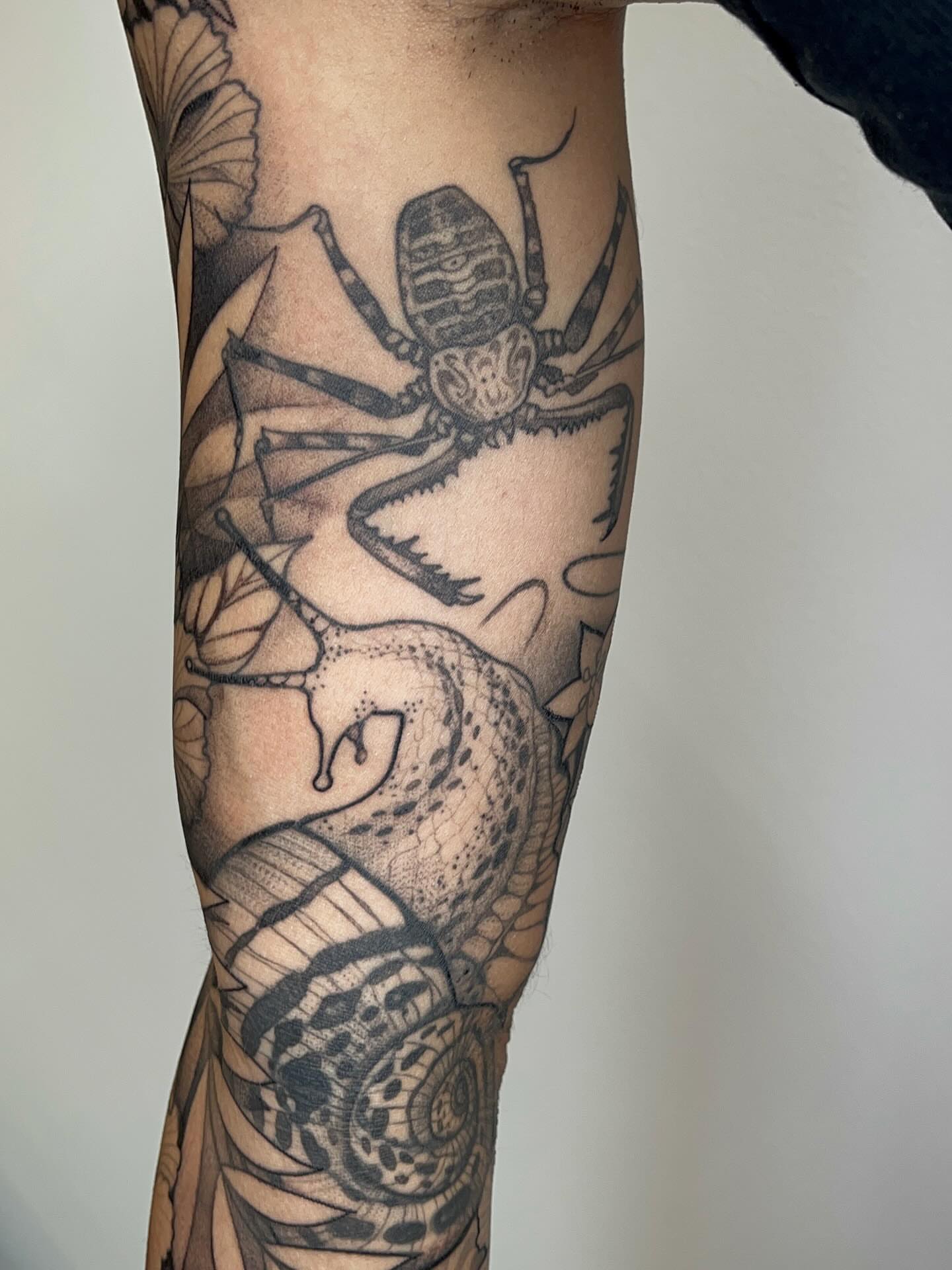 Spider and snake dotwork tattoo on the forearm by Samantha Castrovinci, Durham, North Carolina