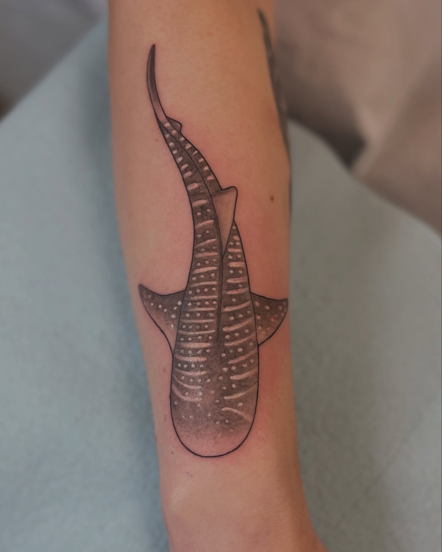 Whale shark dotwork tattoo on the forearm by ๐ต๐๐๐ ๐ฐ๐๐๐