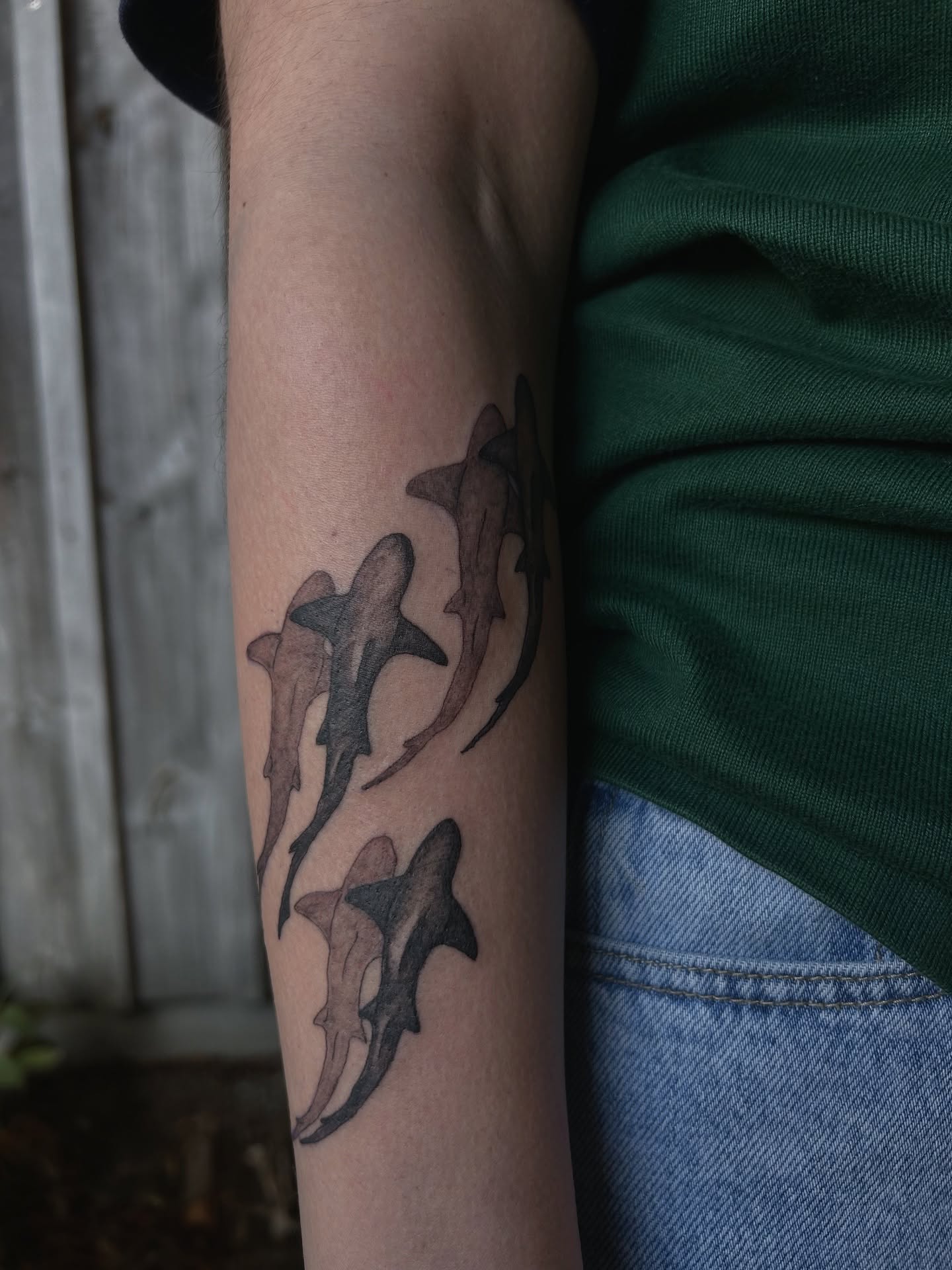 Sharks black and grey tattoo on the forearm by Amara Lyons, Matakana, New Zealand