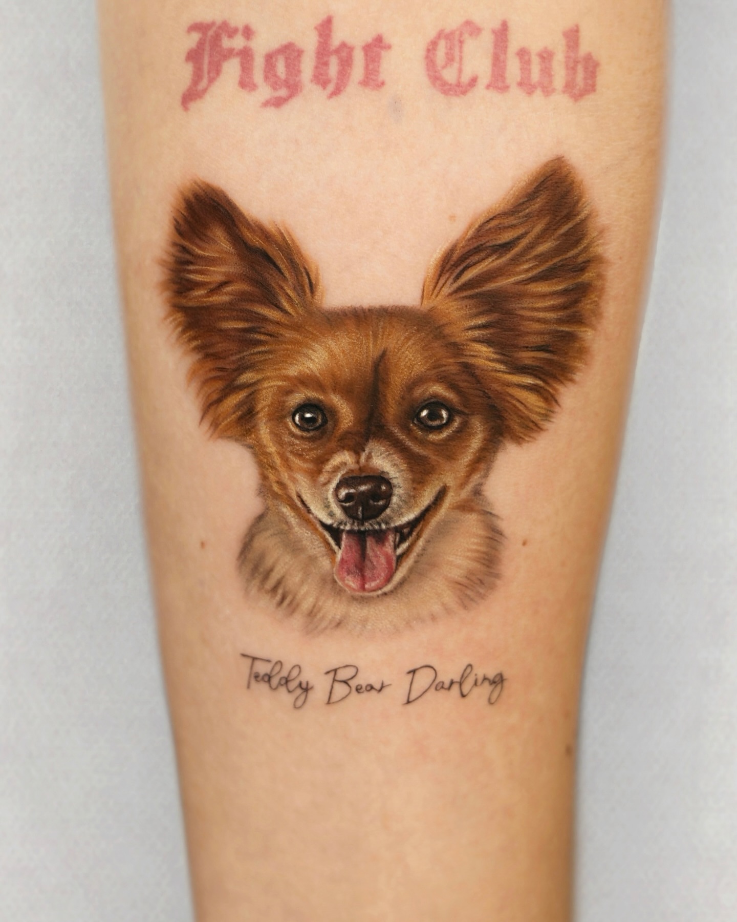 Dog portrait realism tattoo on the forearm by Hoze