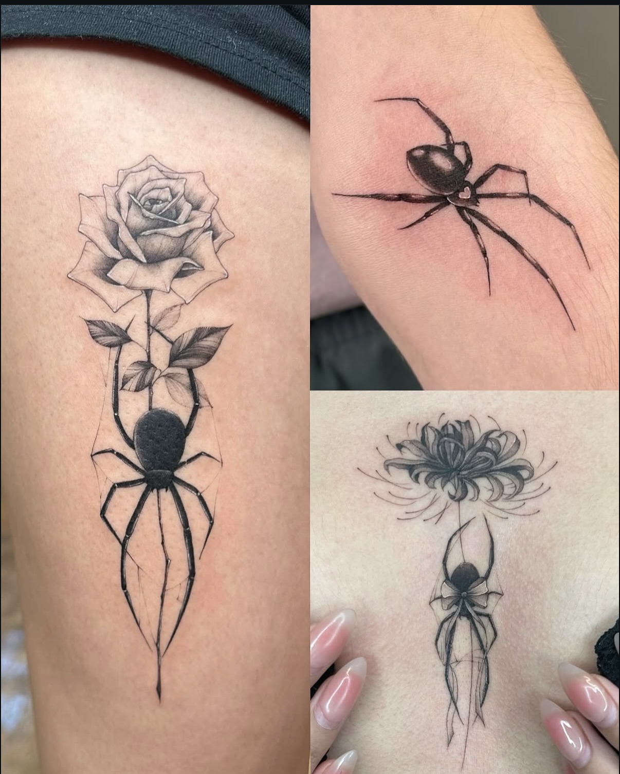 Spider and flower realism tattoo on the upper arm by ๐๐๐๐๐๐