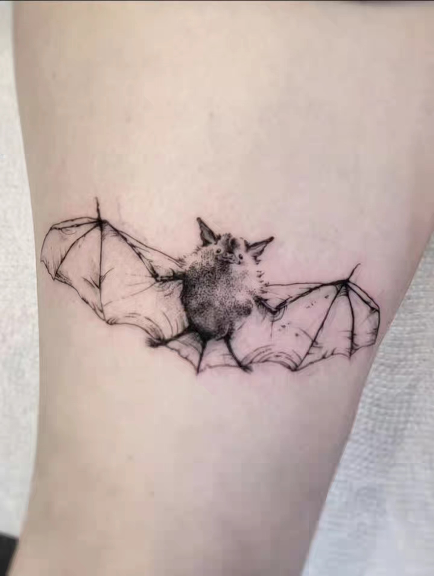 Bat dotwork tattoo on the forearm by Luca