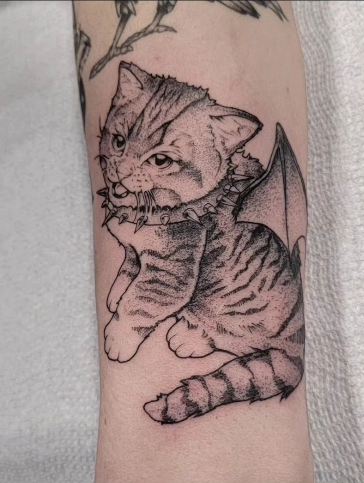 Cat dotwork tattoo on the forearm by Luca