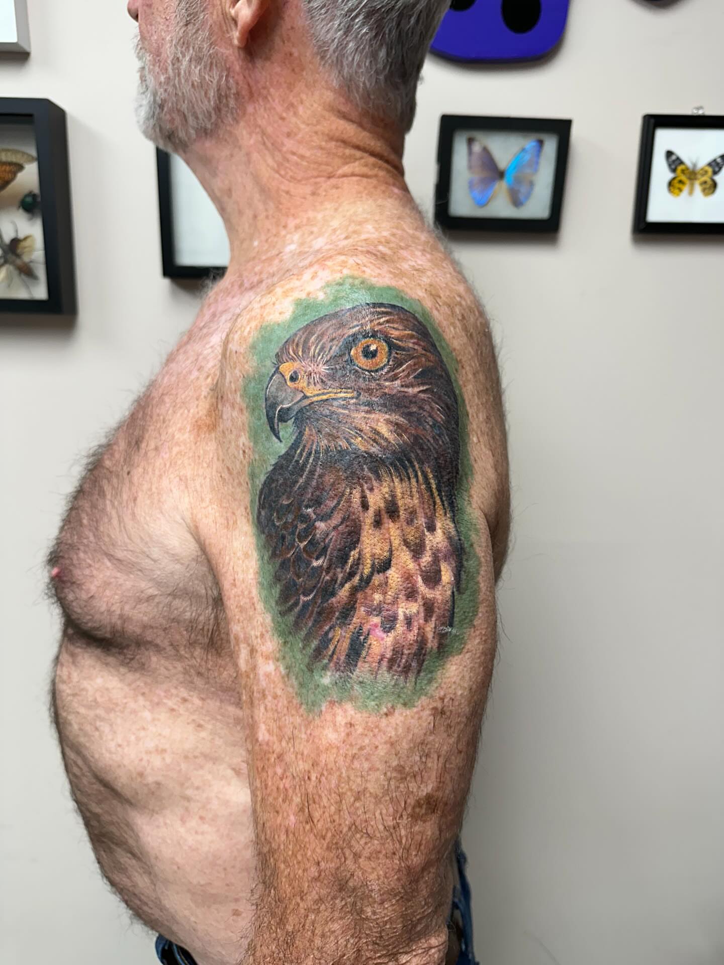 Hawk realism tattoo on the shoulder by Heather Tattoos Danvers MA