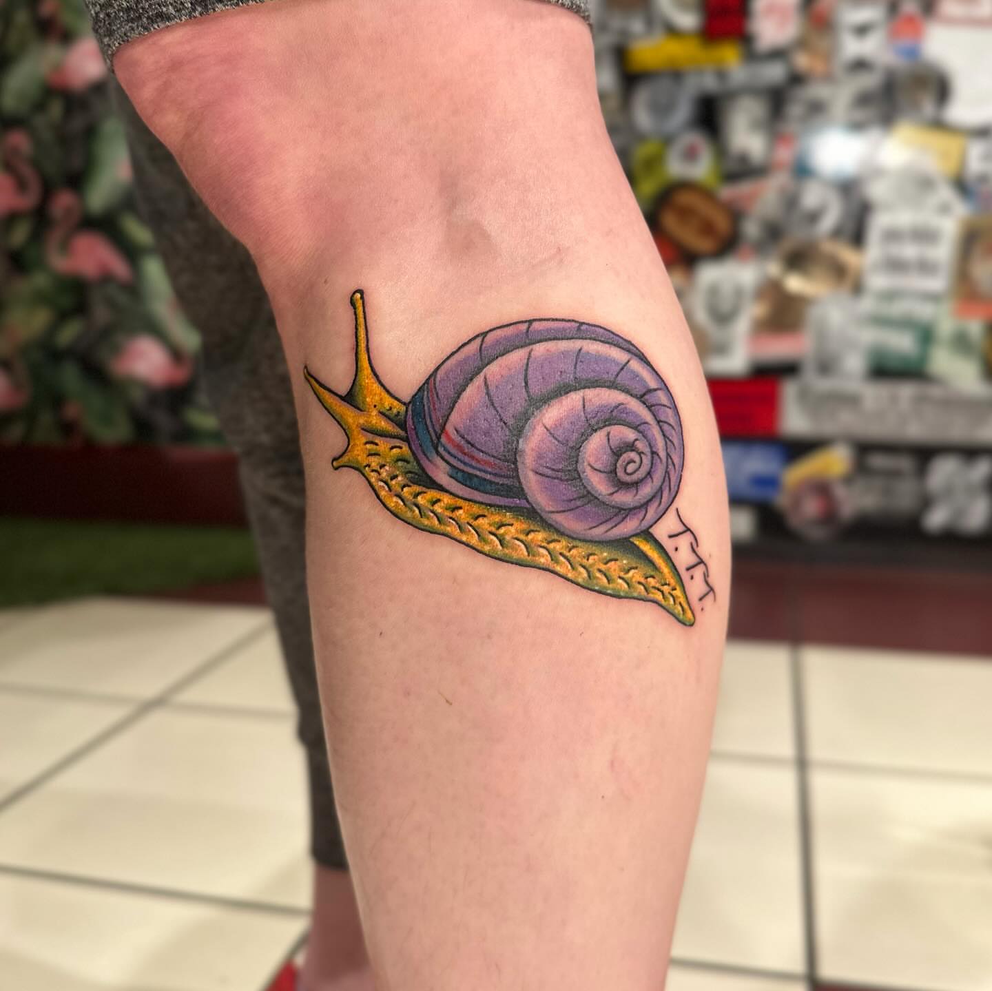 Snail realism tattoo on the forearm by Stacy Fevinger