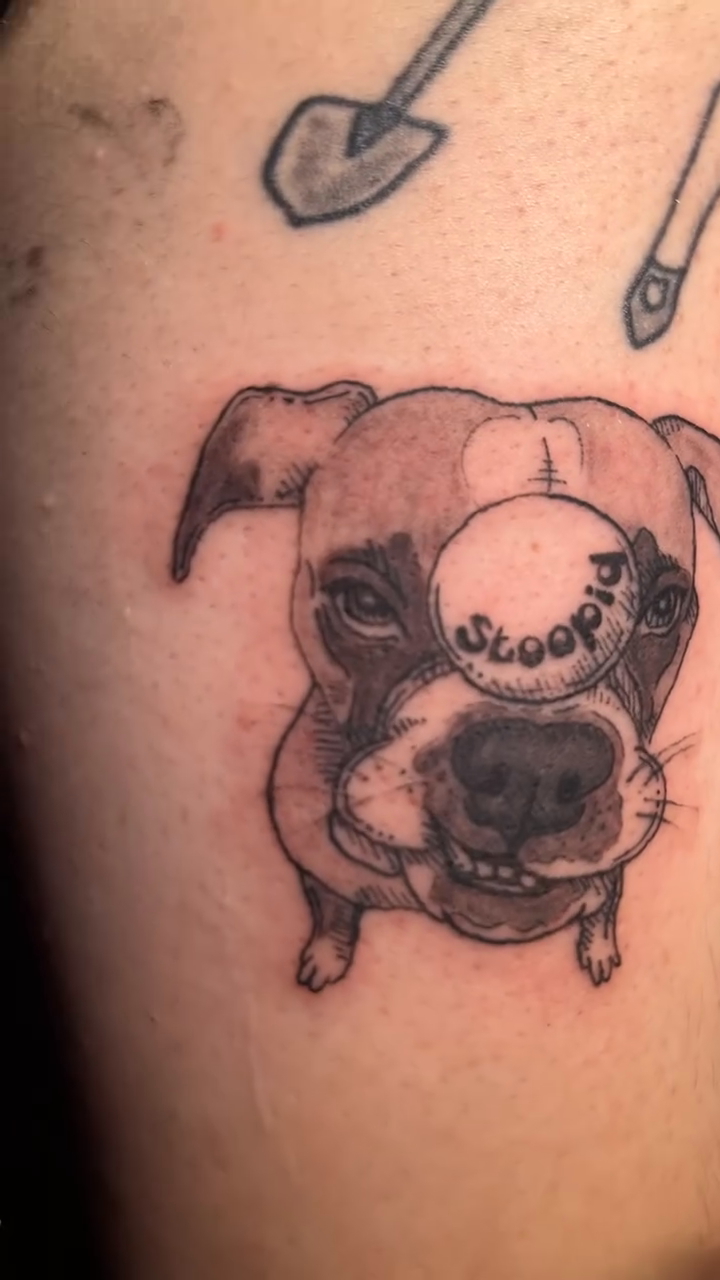 Dog portrait realism tattoo on the upper arm by ❦julia