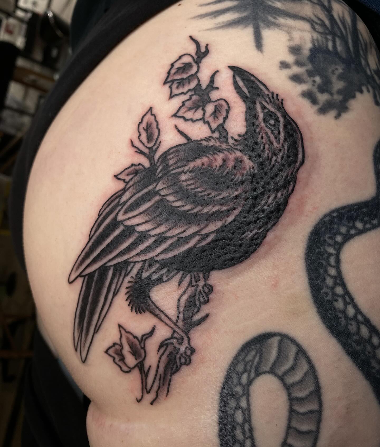 Crow and leaves black and grey tattoo on the shoulder by Morgana Sutherland