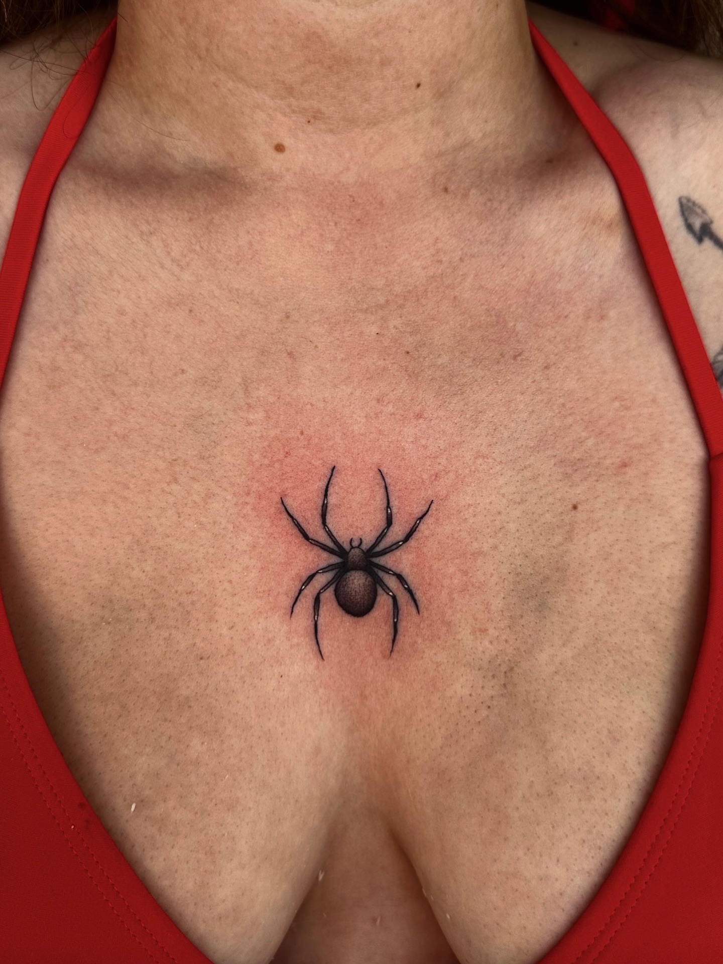 Spider black and grey tattoo on the chest by Matthew, Georgetown, Texas