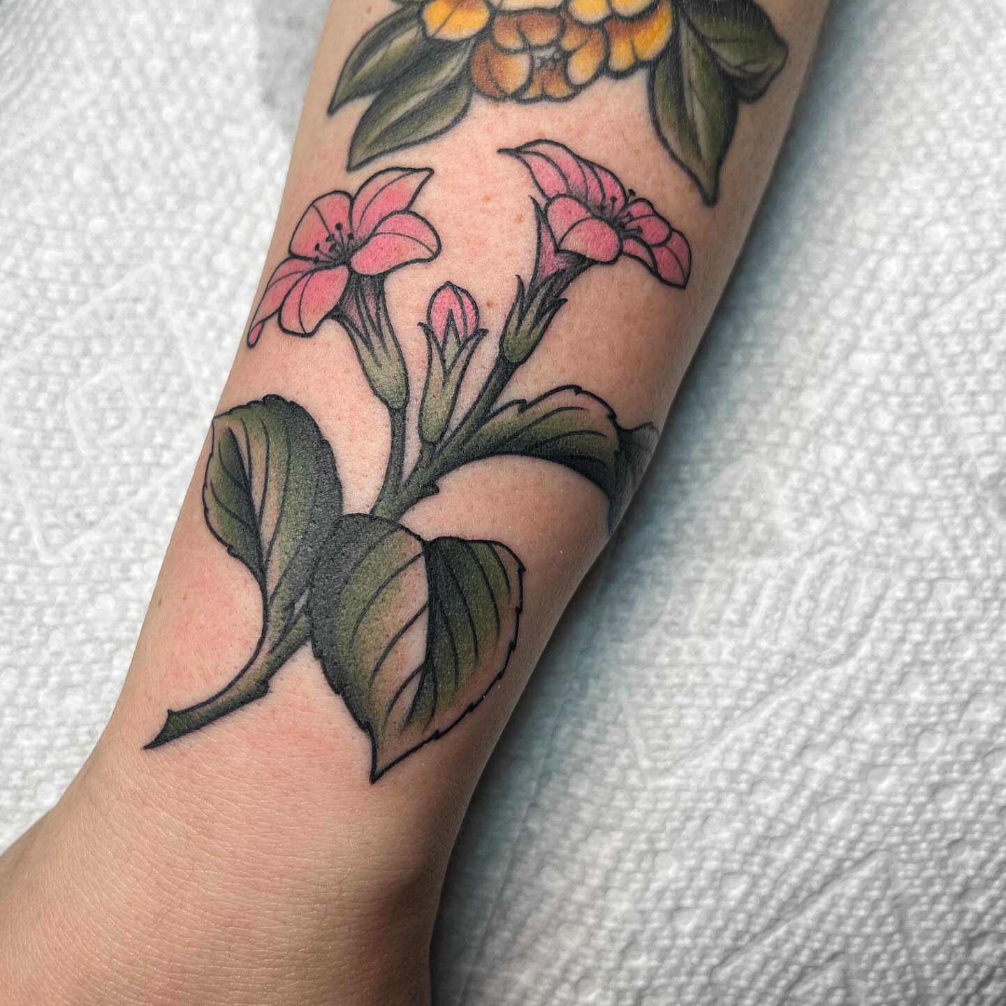 Flowers new school tattoo on the forearm by Kayla Faircloth, Charlotte, North Carolina