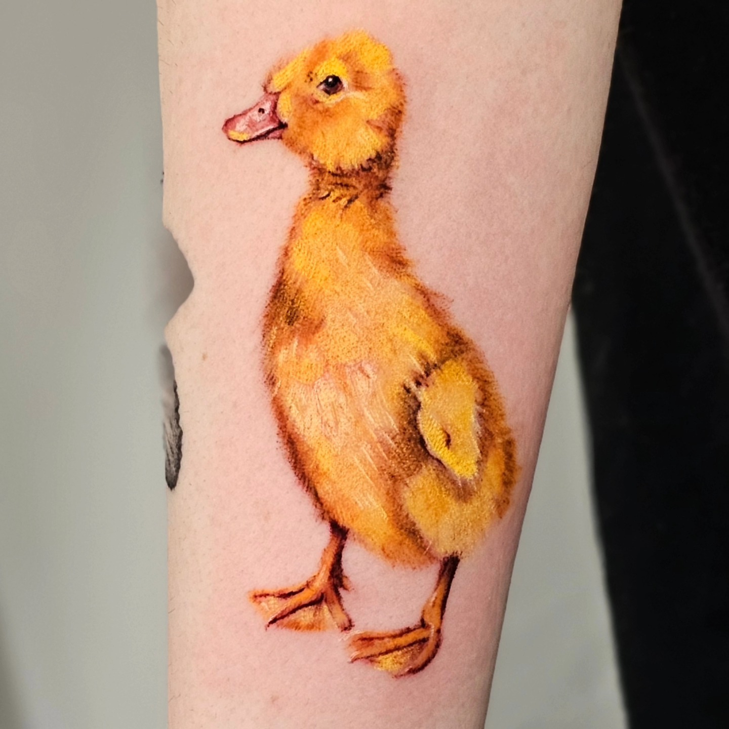 Tattoo by @madelynne_art_ — realism