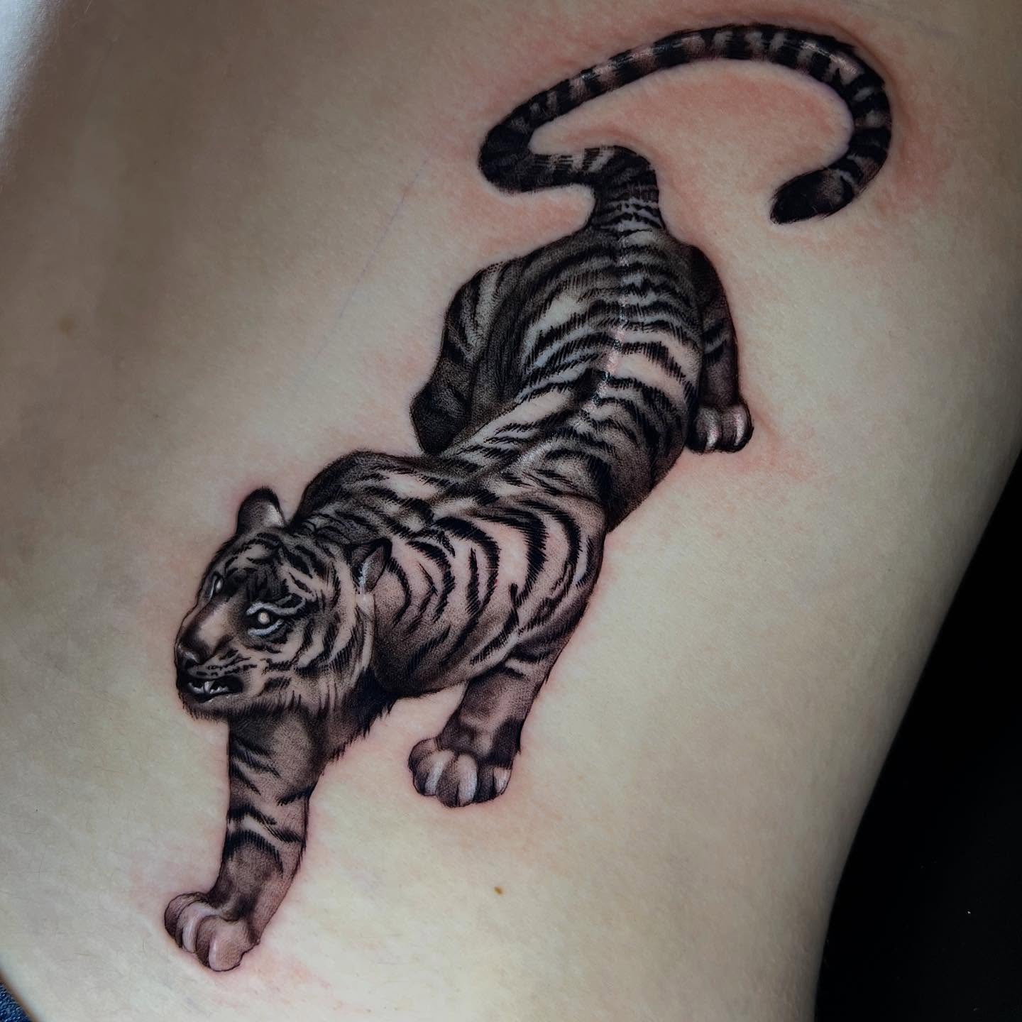 Tiger realism tattoo on the thigh by Matthew Arguello