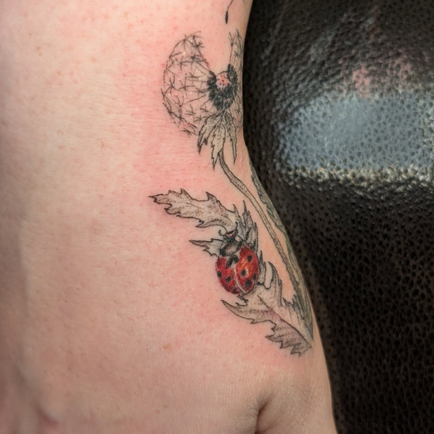 Dandelion and ladybug realism tattoo on the forearm by Cat