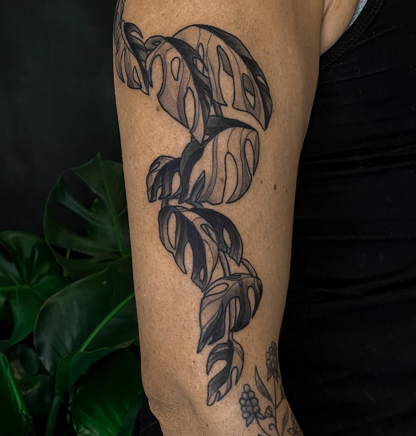 Monstera leaves black and grey tattoo on the forearm by ✥ G i t t a ✥