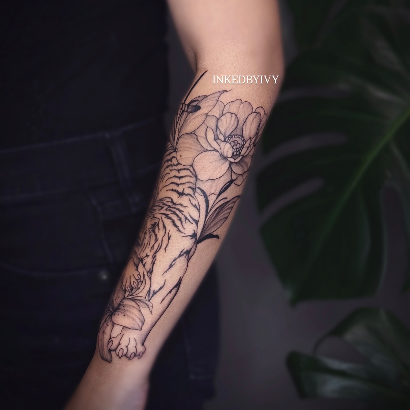 Peony and tiger black and grey tattoo on the forearm by IVY
