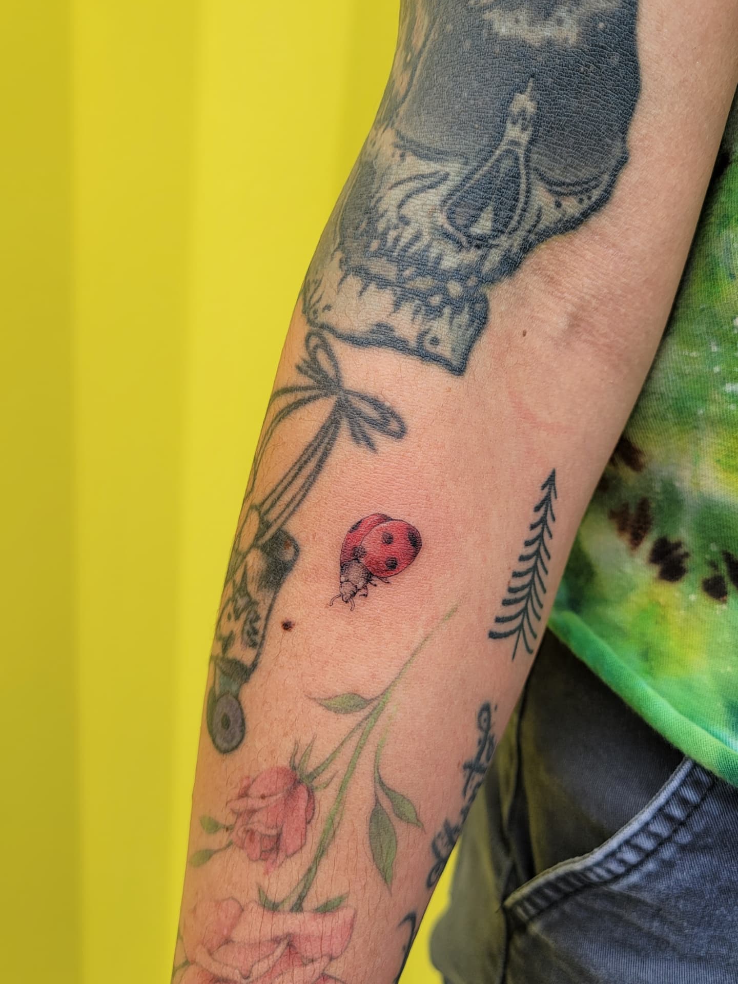 Ladybug and flowers dotwork tattoo on the forearm by Keith Countryman, Fort Worth, Texas