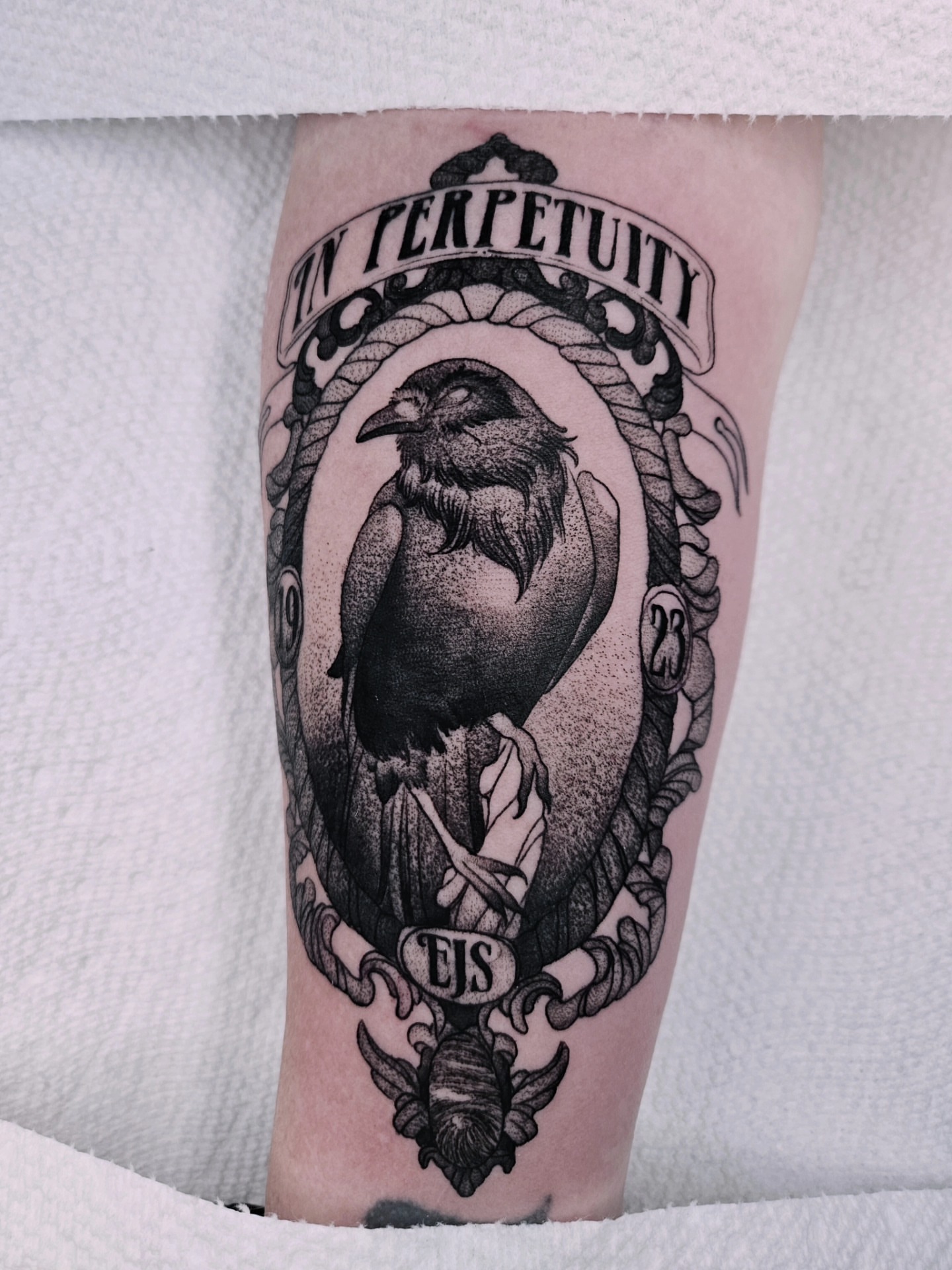 Crow dotwork tattoo on the forearm by Sabrina Wagner