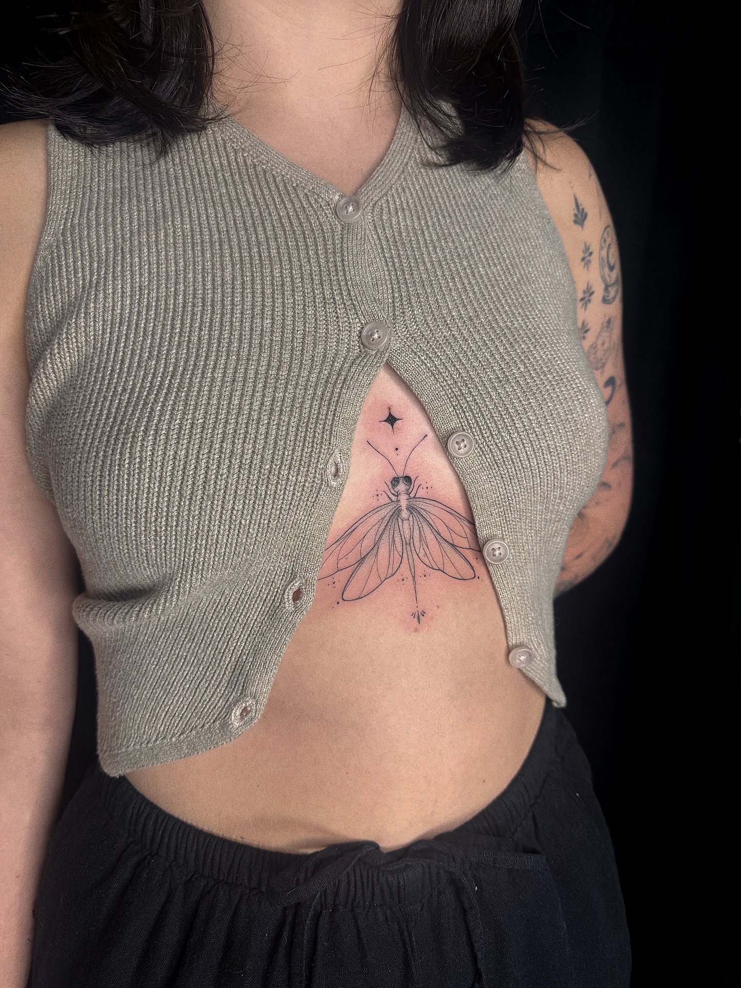Insect black and grey tattoo on the torso by elena