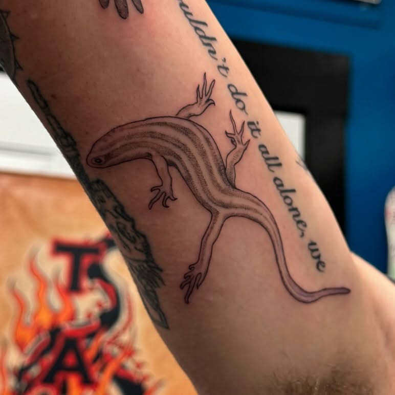 Tattoo by @tattooshananigans — fine_line, black_and_grey