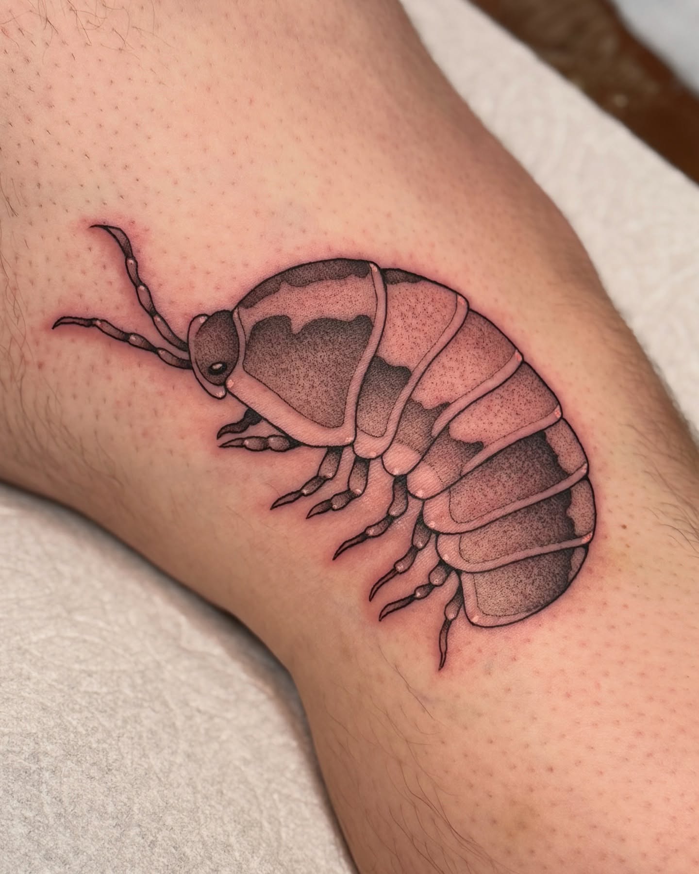Tattoo by @deerbatstats — realism