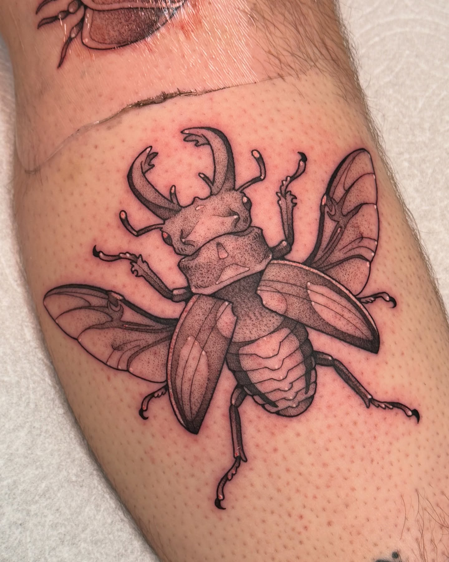 Tattoo by @deerbatstats — realism