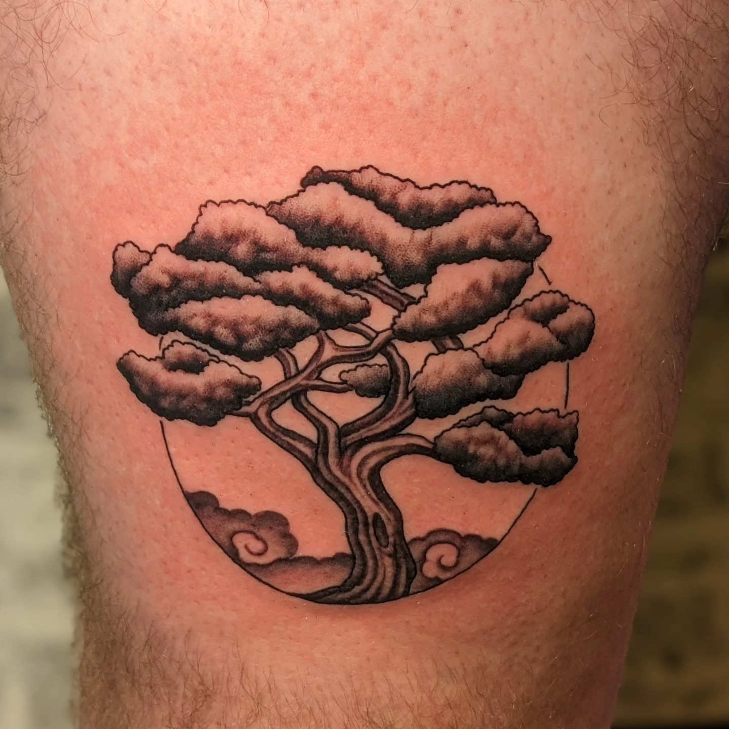 Bonsai tree black and grey tattoo on the thigh by Matt Simmonds
