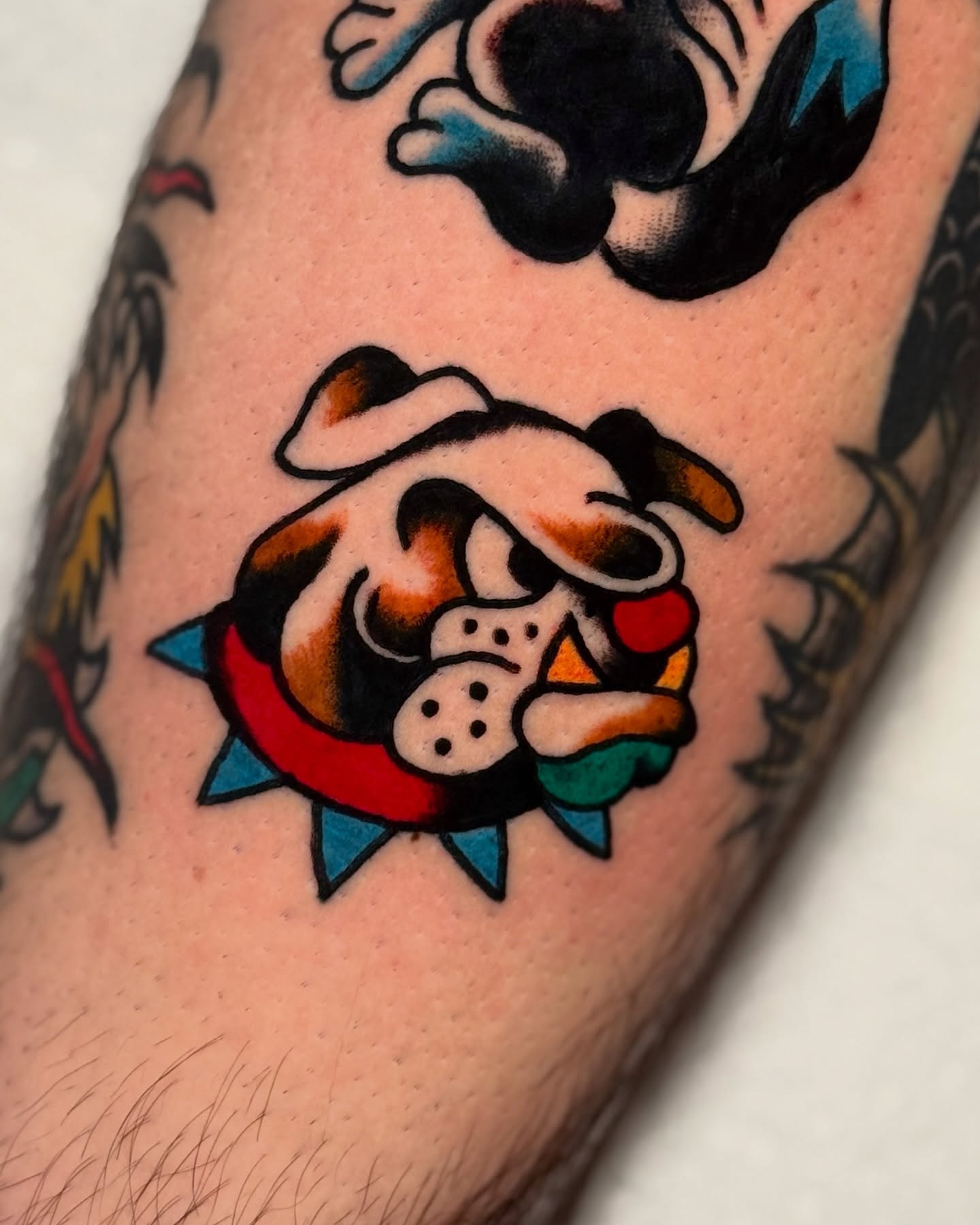 Bulldog American traditional tattoo on the forearm by οΌππ¨ππ¨οΌ, New York, New York