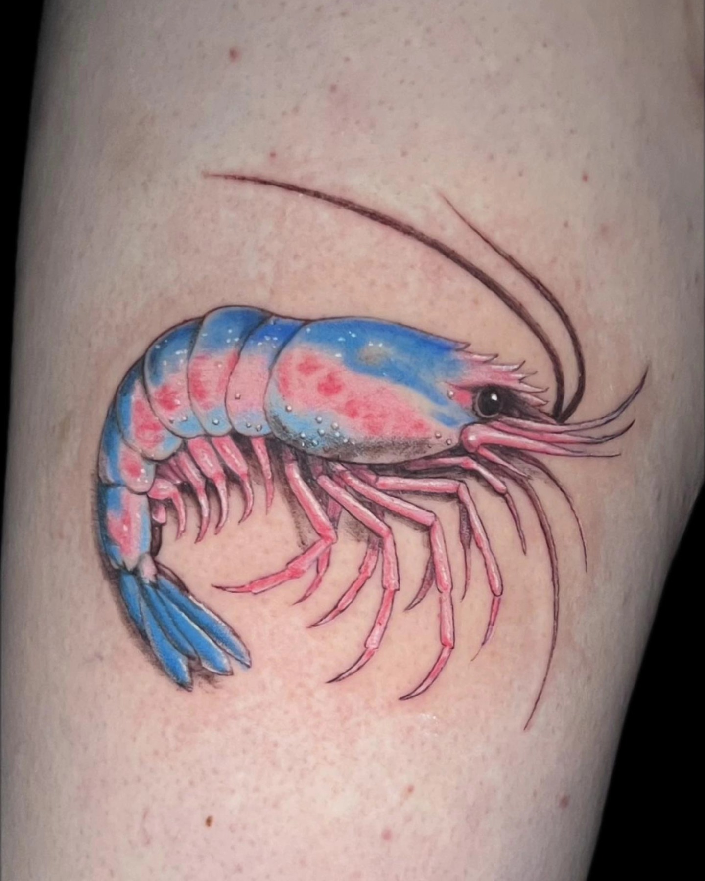 Prawn realism tattoo on the thigh by Jeff Frederick