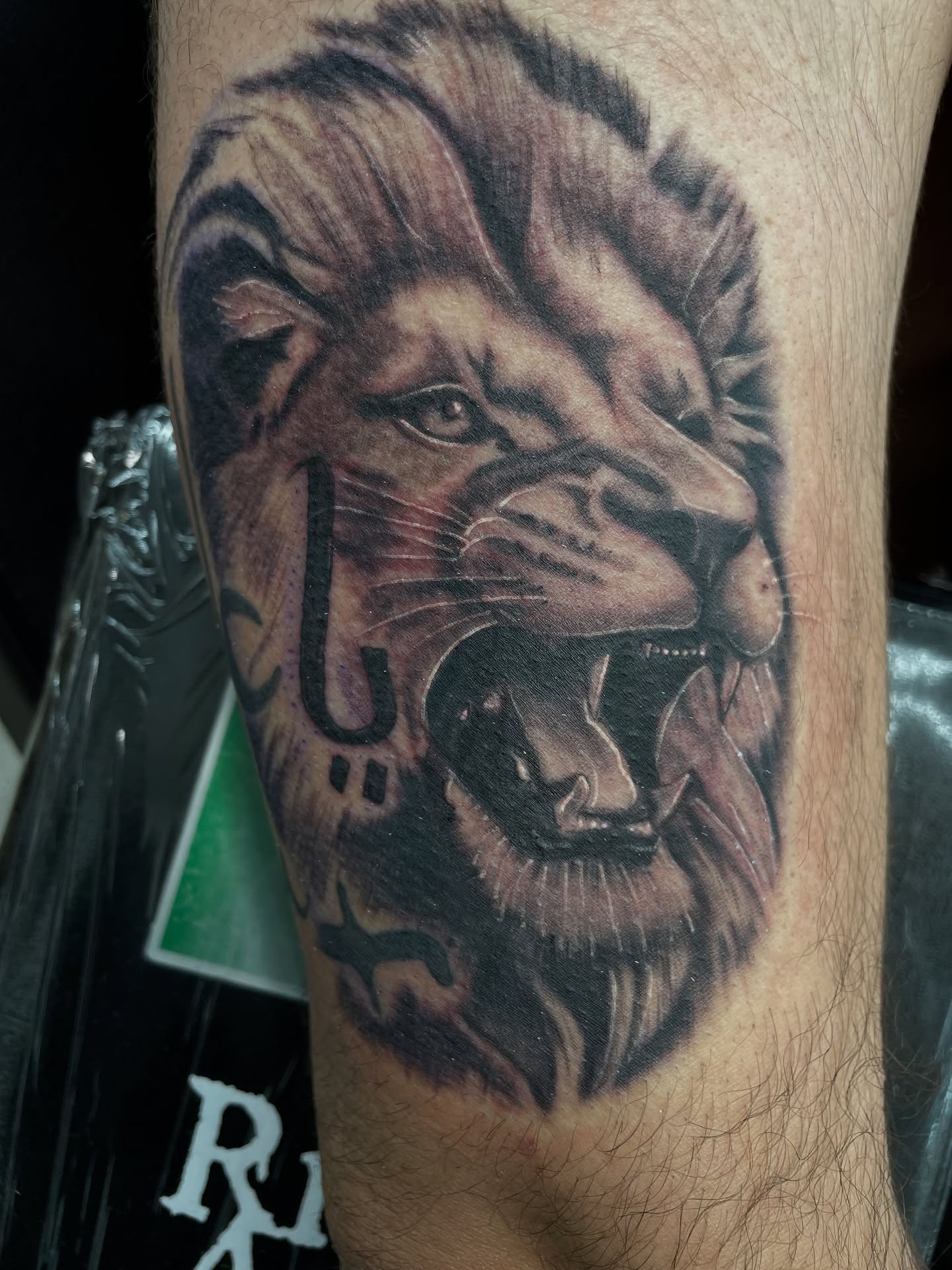 Roaring lion realism tattoo on the forearm by Cultura