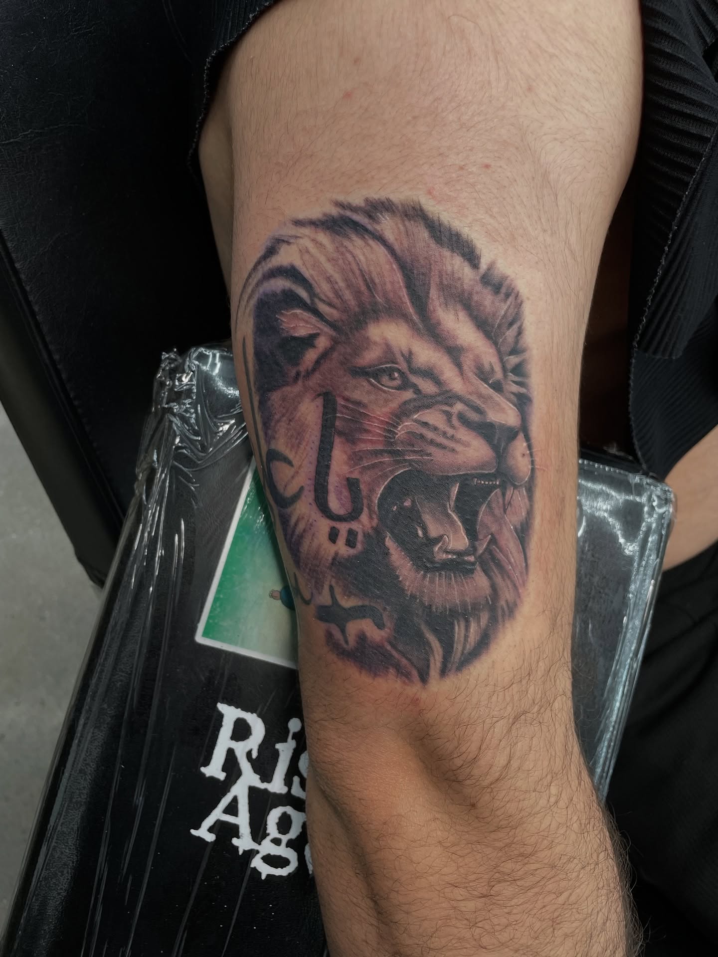 Lion realism tattoo on the forearm by Cultura