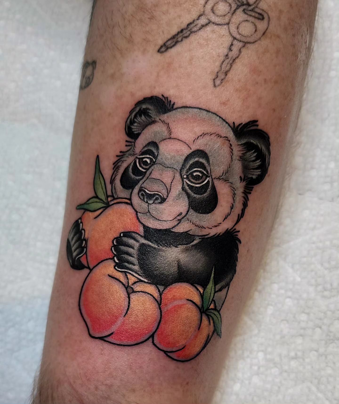 Panda holding peaches American traditional tattoo on the forearm by Mariah Giovanna Hodgens