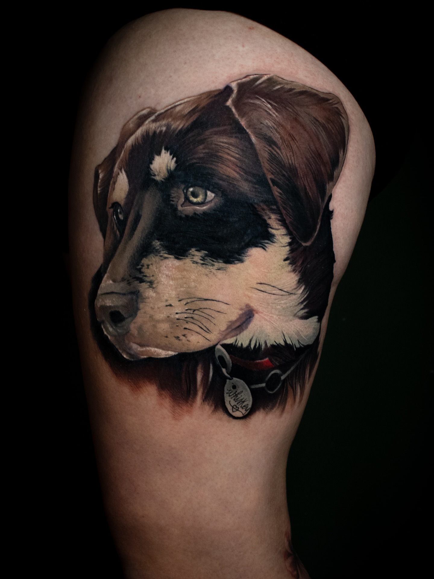 Dog realism tattoo on the shoulder by Luke Benavidez