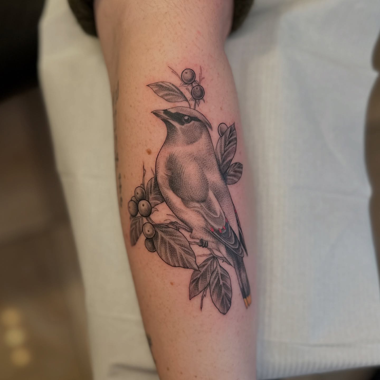 Tattoo by @kindredspirits_tattoo โ black_and_grey