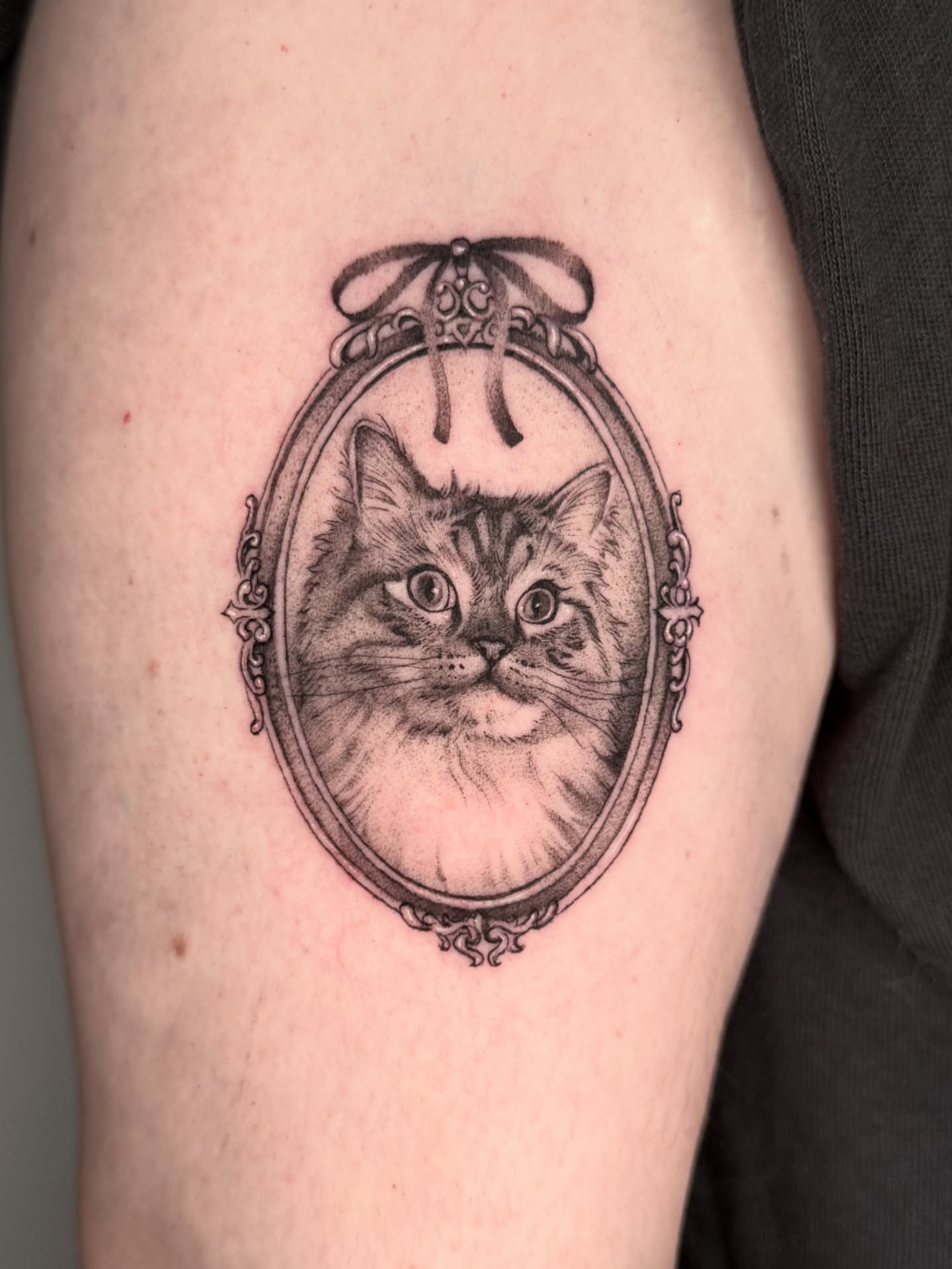 Cat in mirror realism tattoo on the thigh by Carla AKA Turnip girl