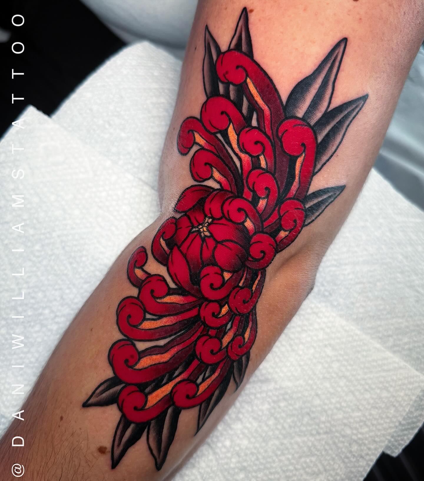 Chrysanthemum American traditional tattoo on the forearm by Dani Johnson