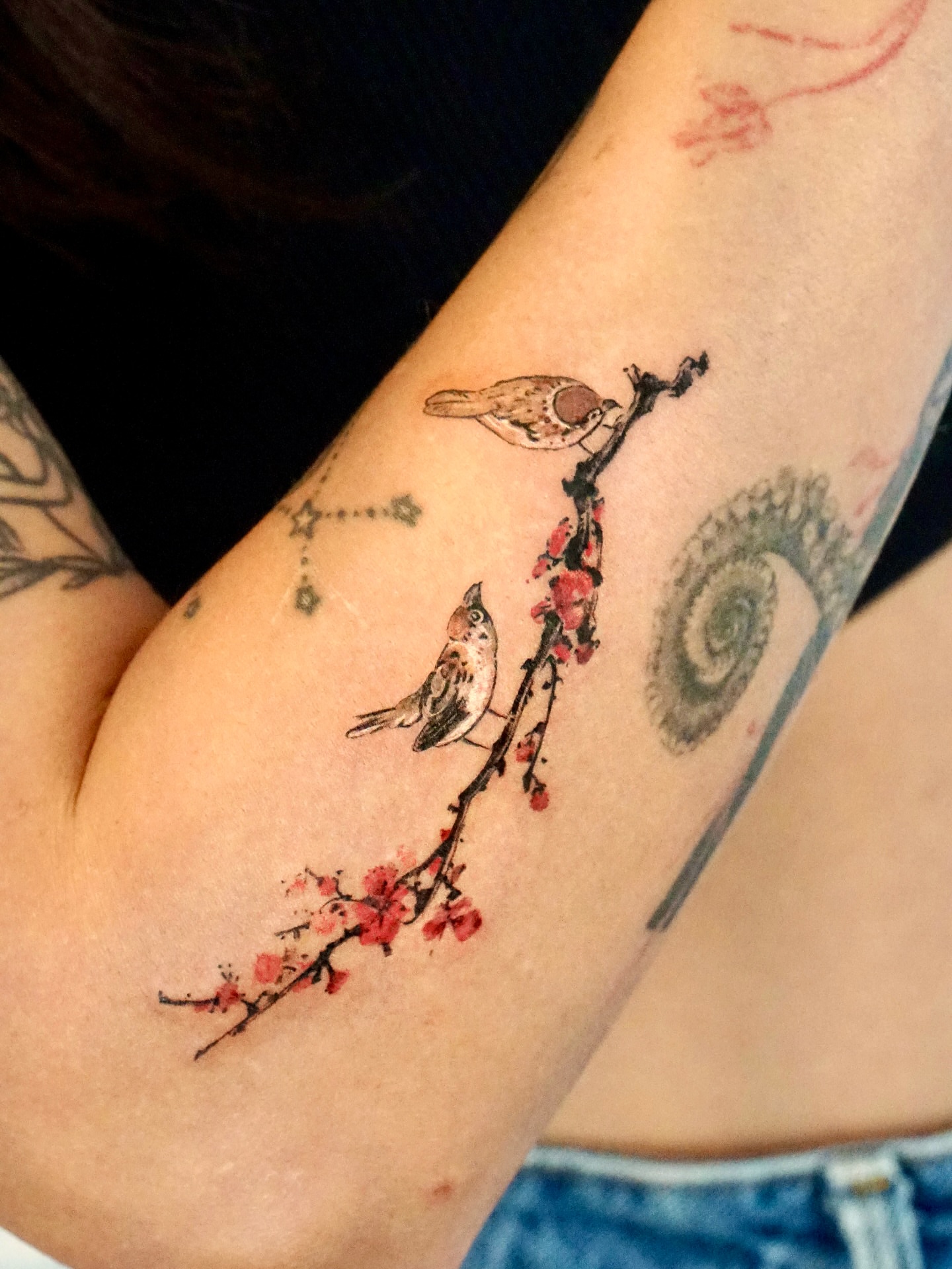 Birds and cherry blossoms watercolor tattoo on the forearm by Isle