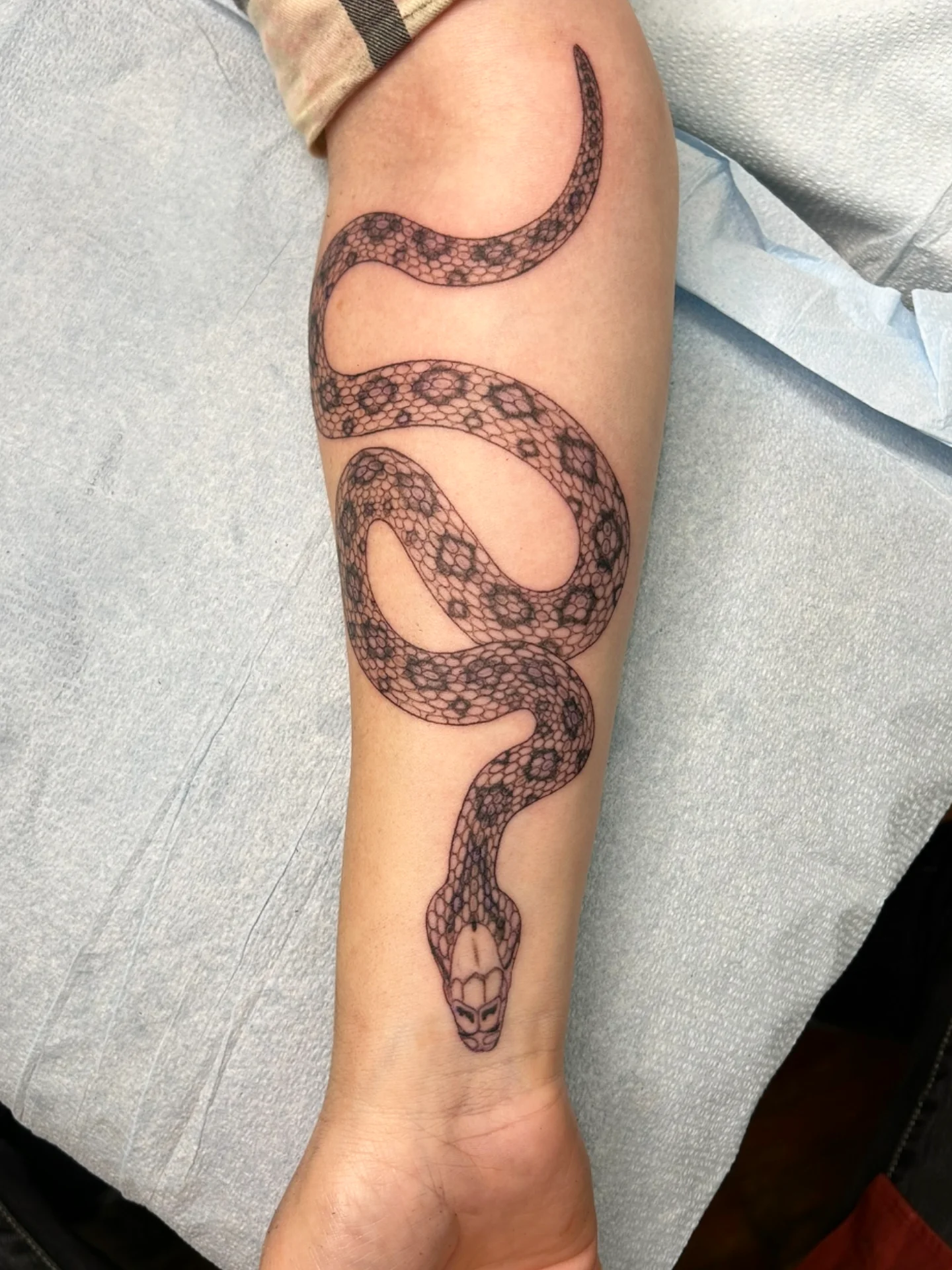 Tattoo by @elistudertattoo — dotwork, black_and_grey