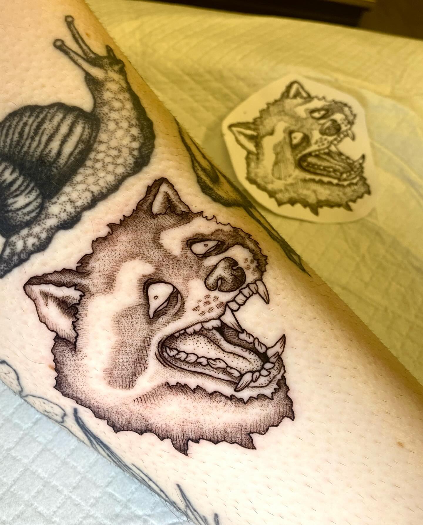 Wolf black and grey tattoo on the forearm by Tyla Pistak, Seattle, Washington