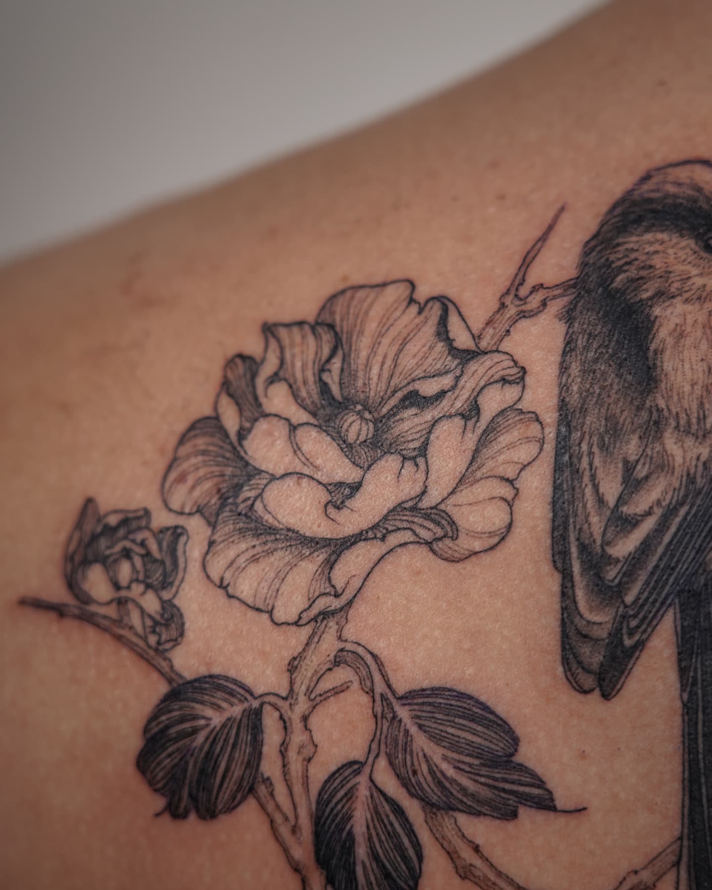 Peony and bird realism tattoo on the upper arm by ๐ฏ๐๐๐๐ ๐ท๐๐๐๐