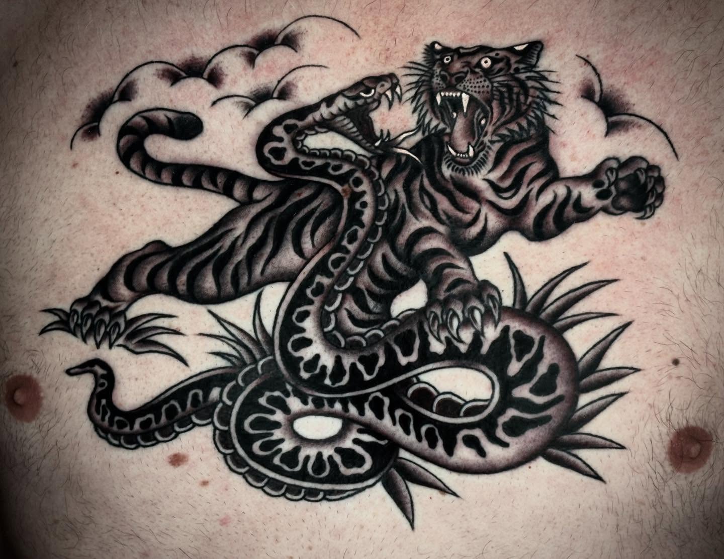 Snake and tiger American traditional tattoo on the chest by Alex Muniz