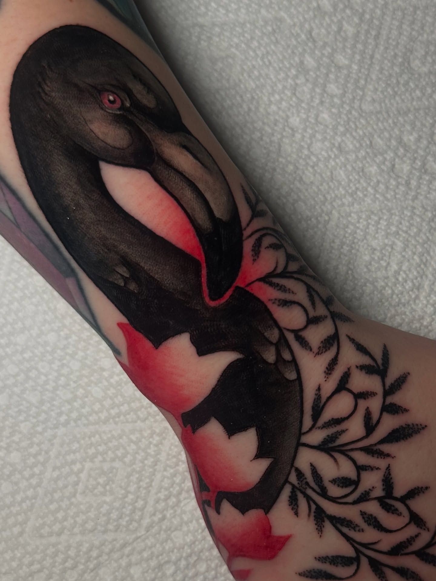 Swan realism tattoo on the forearm by Caity