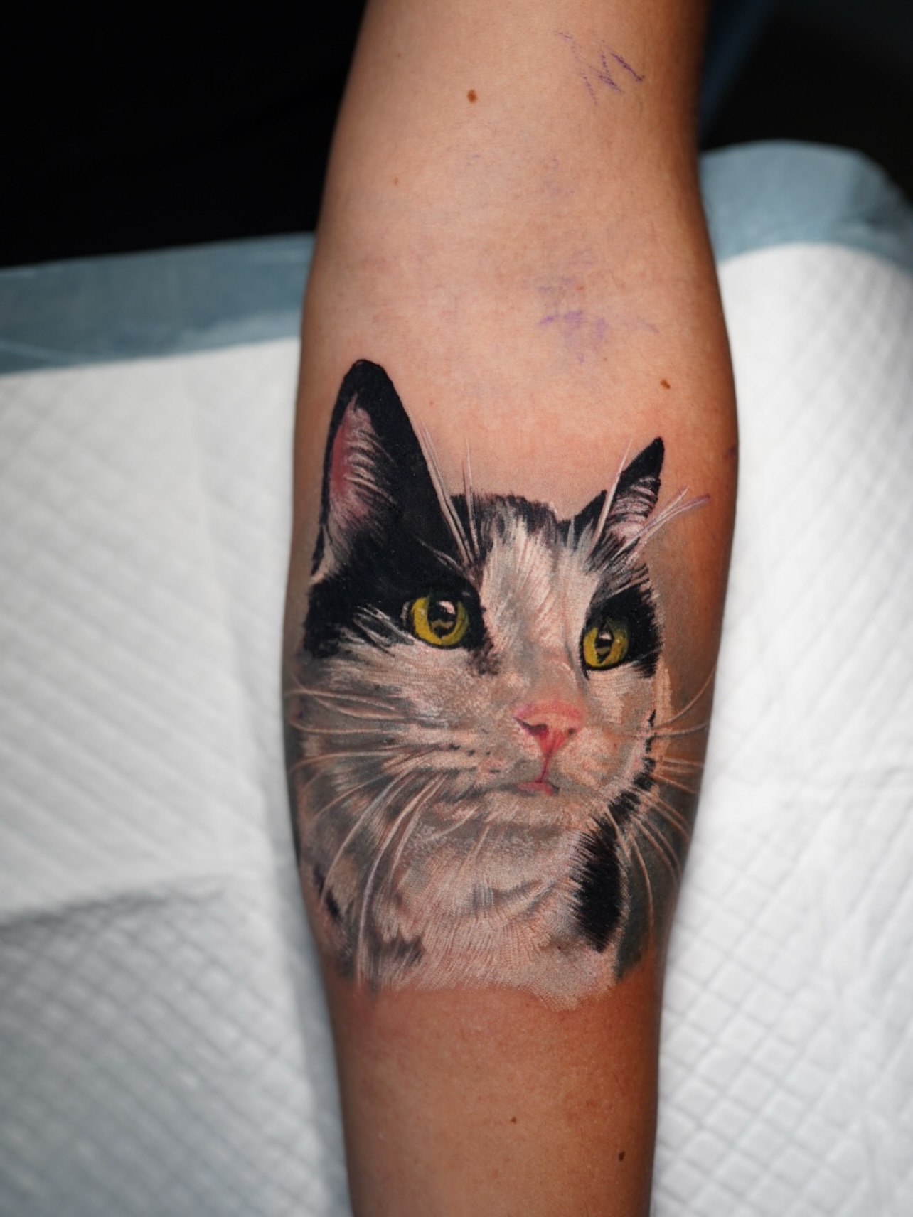 Cat realism tattoo on the forearm by Nestor Palacios