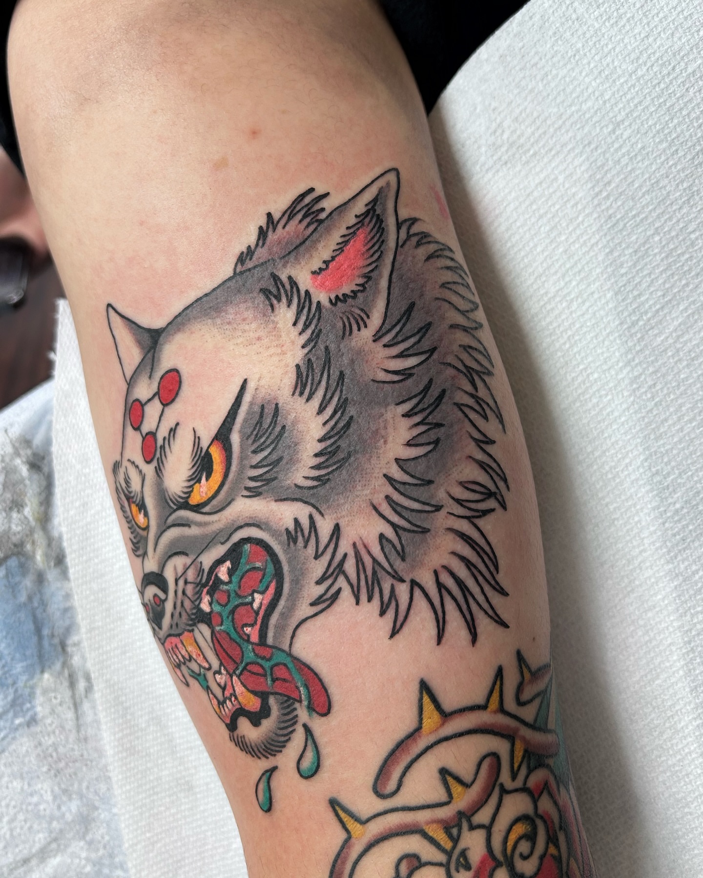 Wolf American traditional tattoo on the forearm by Jade McKenzie, Temecula, California