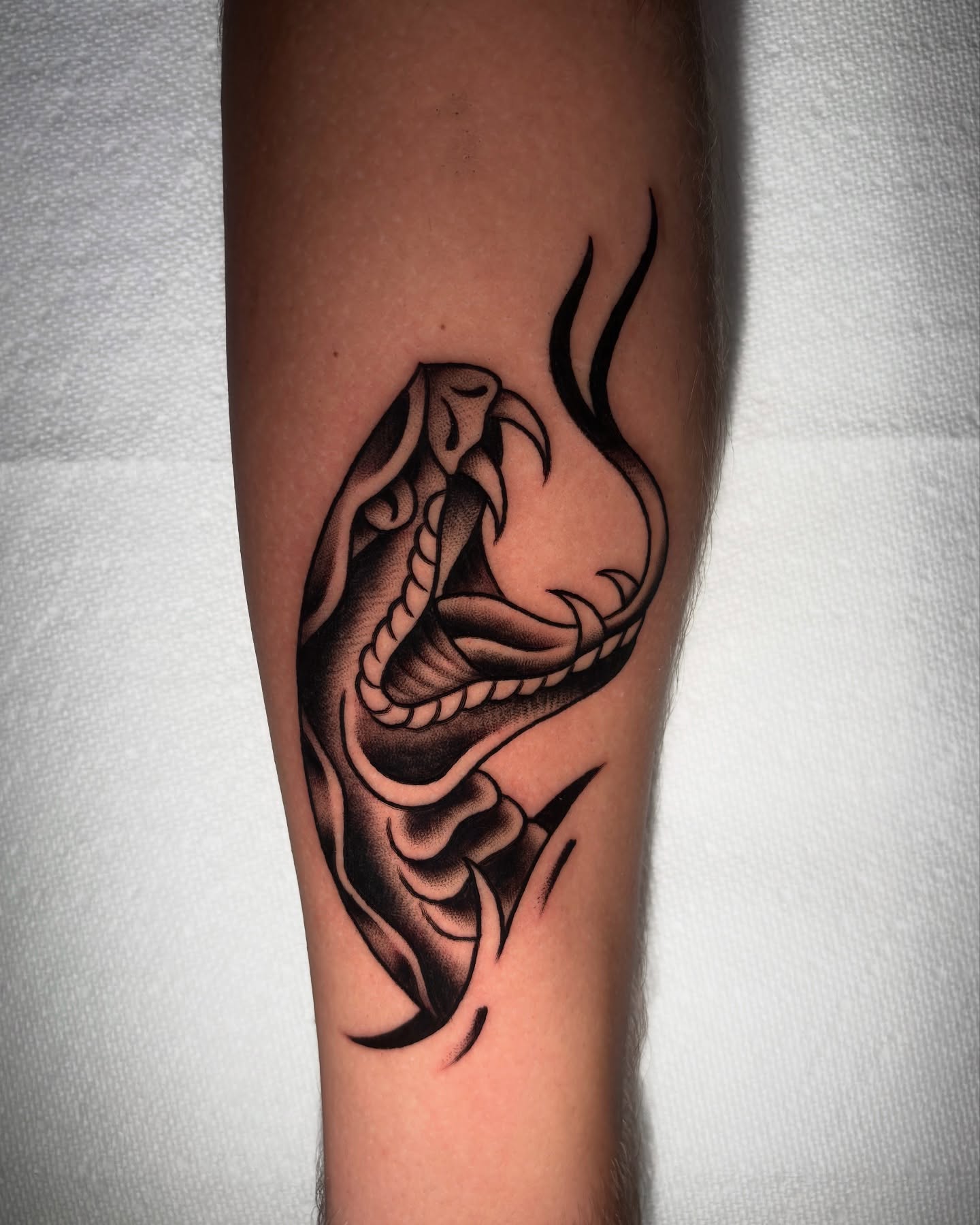 Snake black and grey tattoo on the forearm by Matt Elliott, Murfreesboro, Tennessee