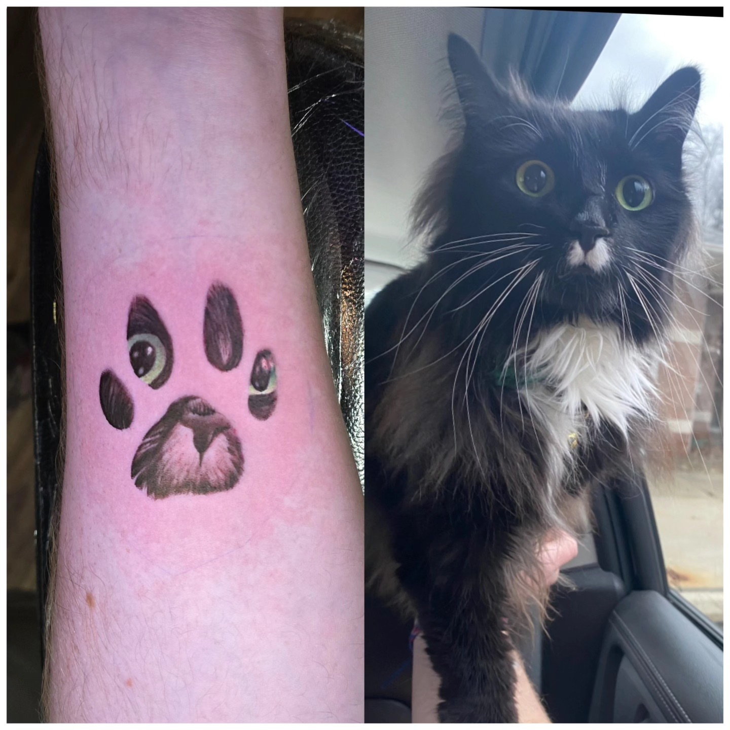 Tattoo by @steelcitytattoos — realism